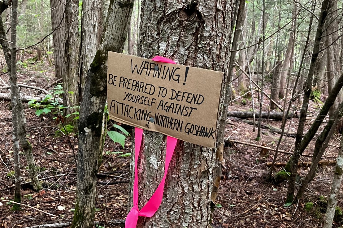 Attacked before The&nbsp;Roadhouse